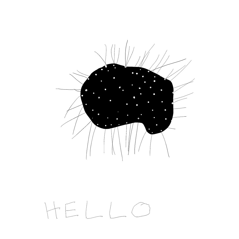 hello world