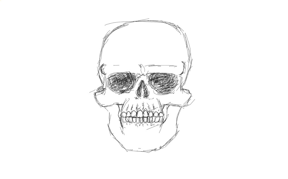 skull