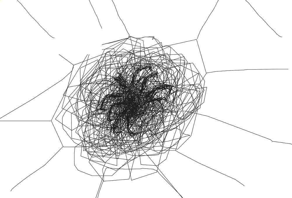 spider