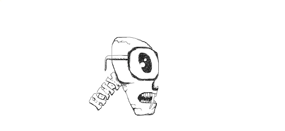 skull