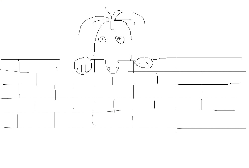WALL watching