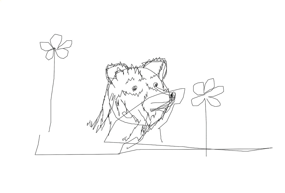 cute bear