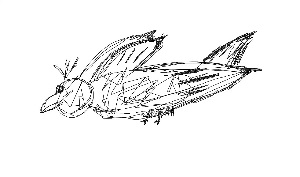 bird