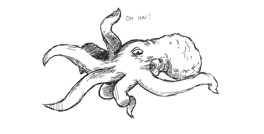 Oh Hai!