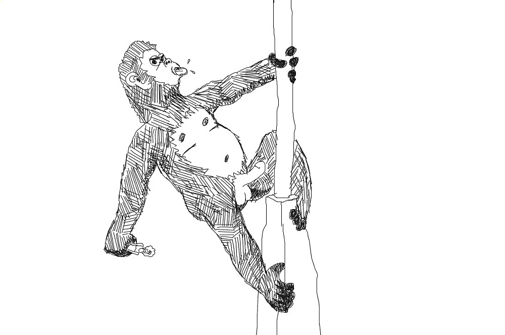 king kong