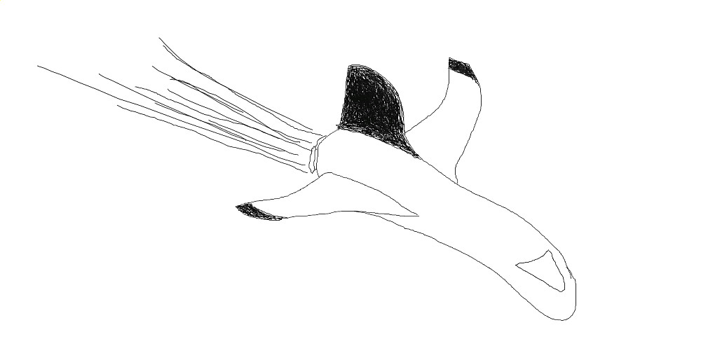 Spaceship