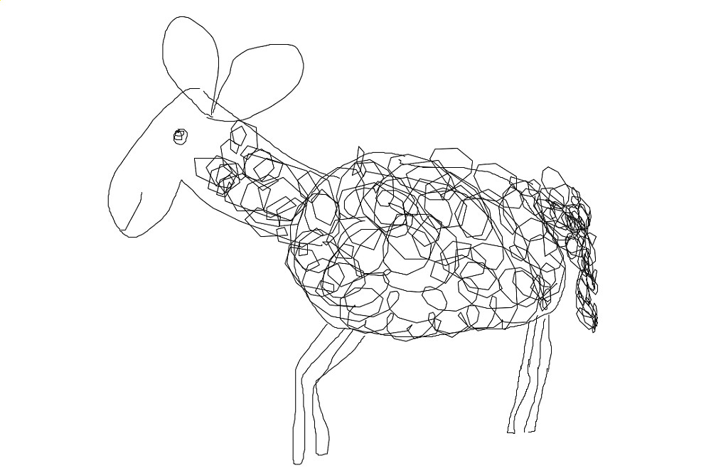 donkey or sheep