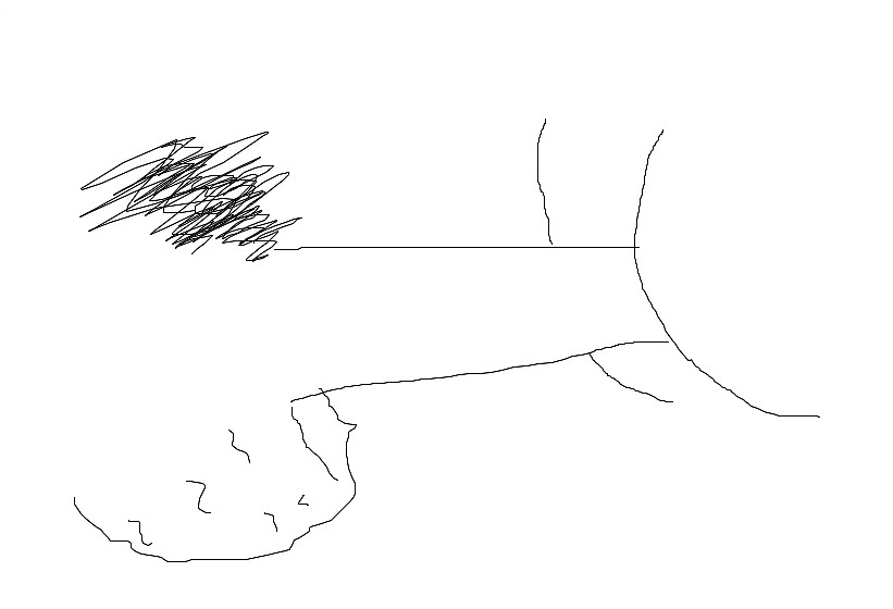 -OO