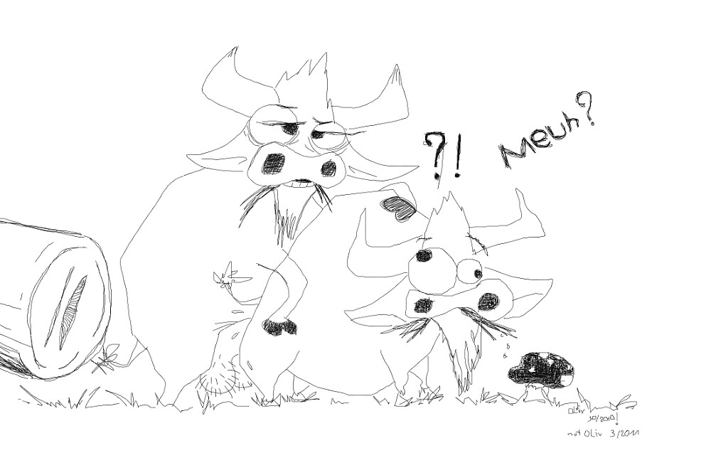 cows