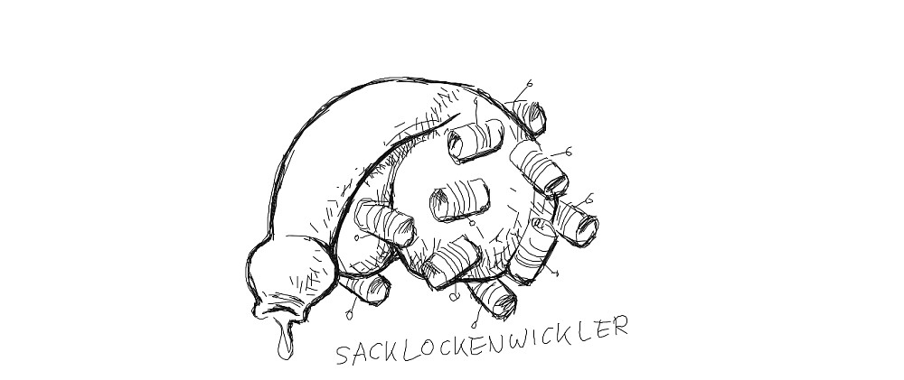 Sacklockenwickler