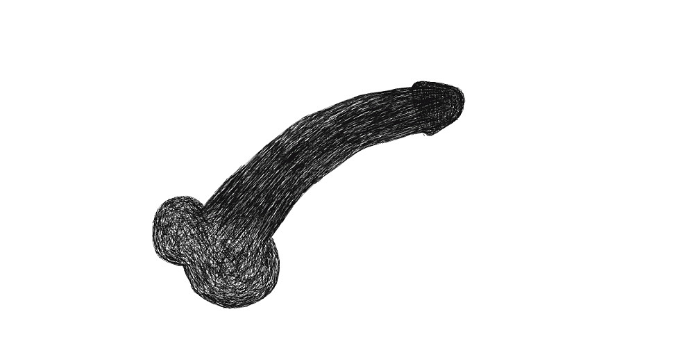 penis