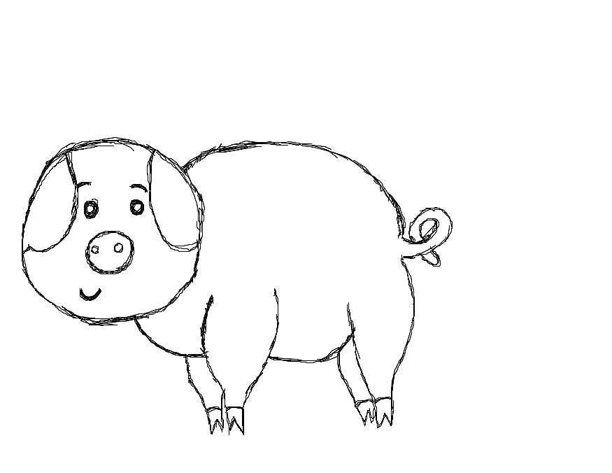 A cat