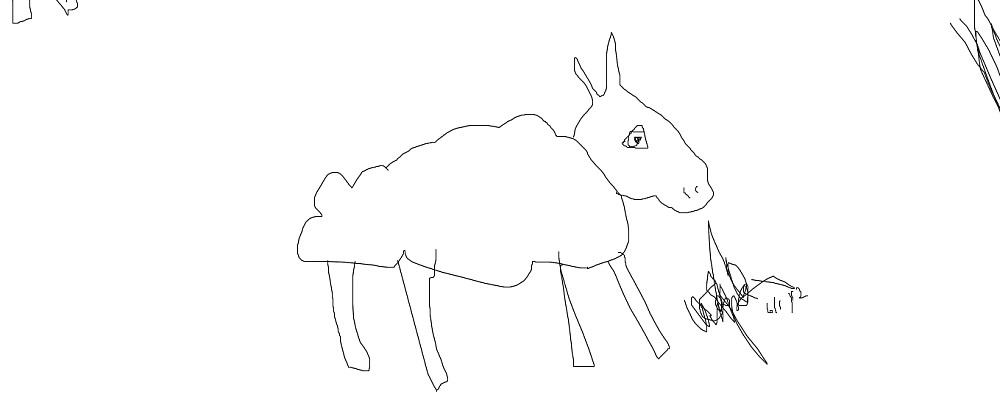 sheep