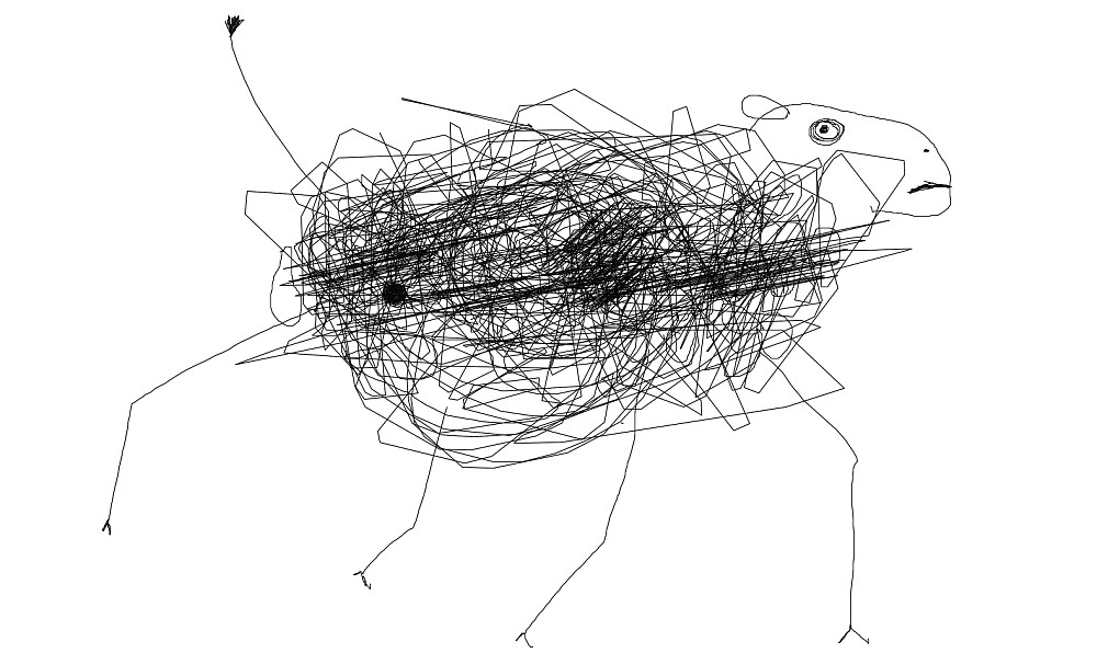 sheep