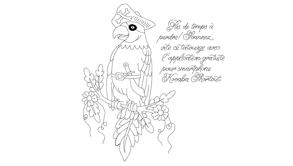 pirat parrot