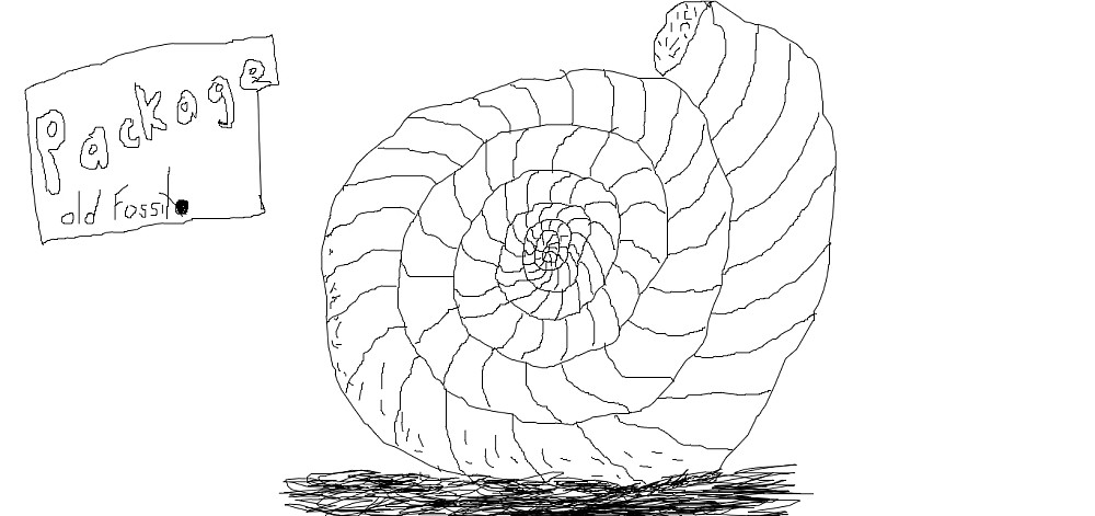 Ammonite