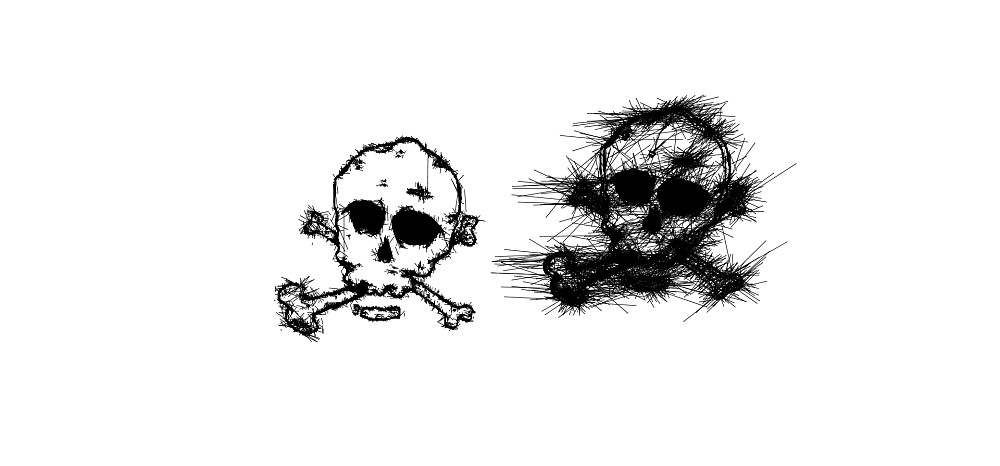 two skulls