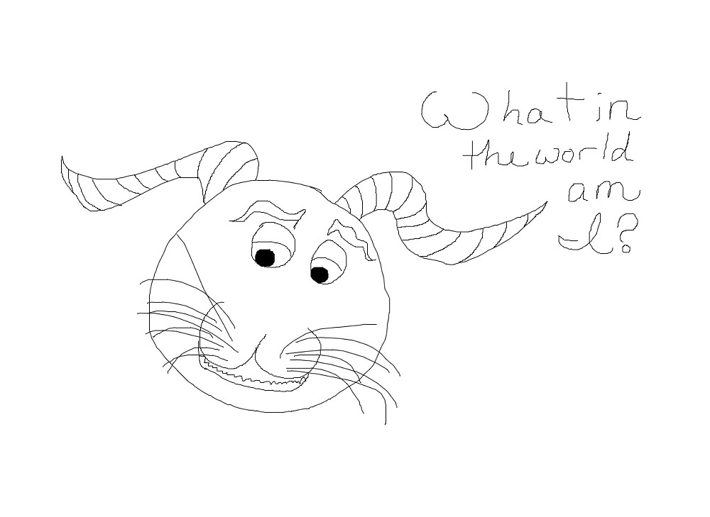 What Am I?