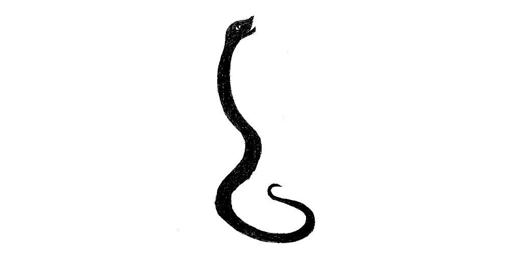 black snake