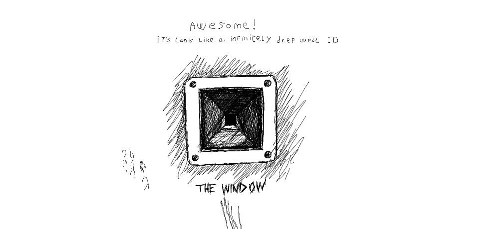 The Window