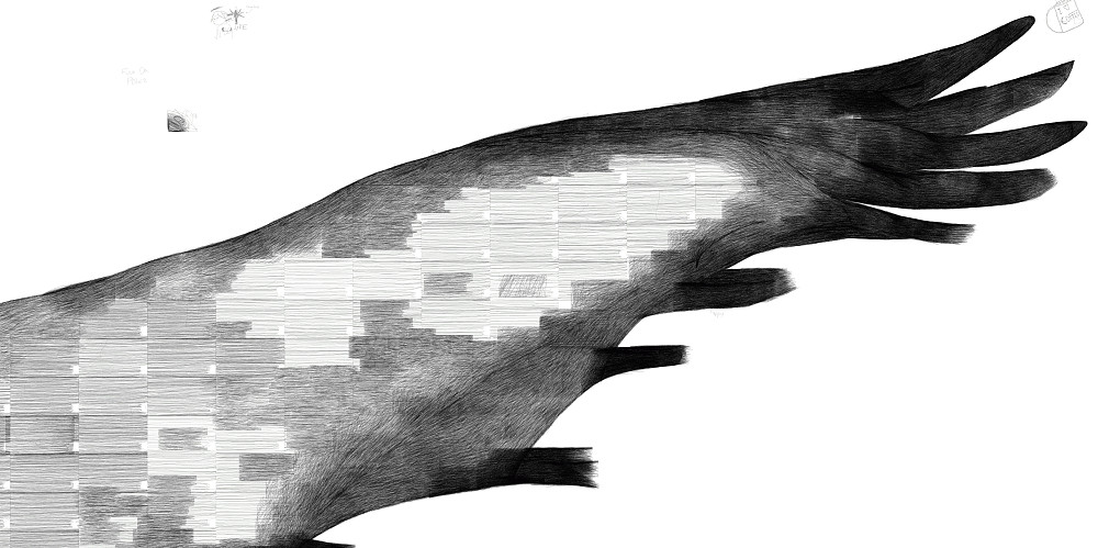 left wing tip