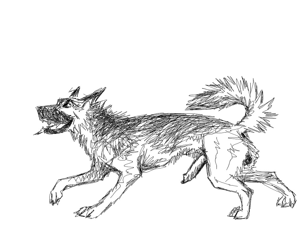 doge