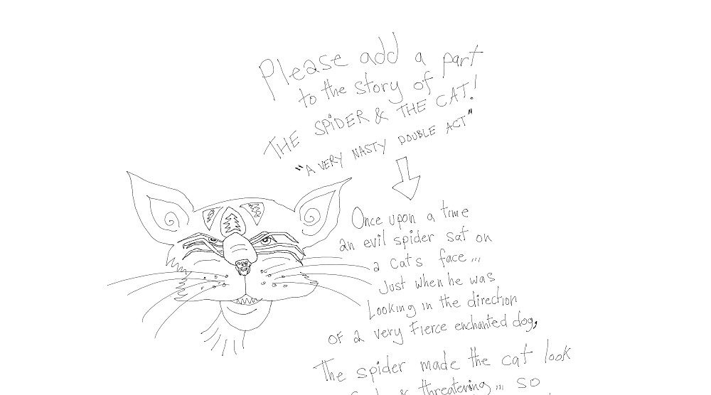 The Spider & The Cat