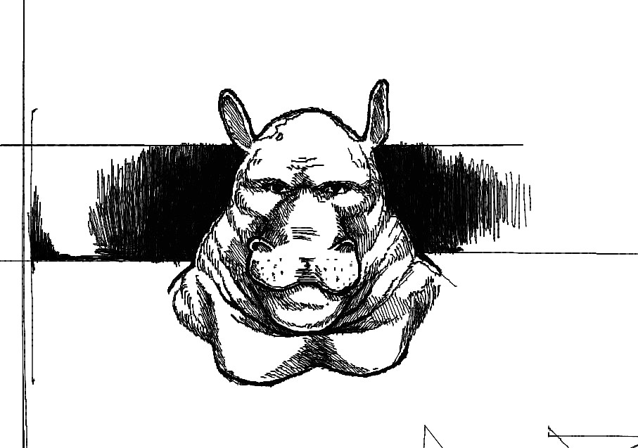 pig face