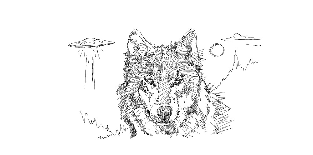 wolf