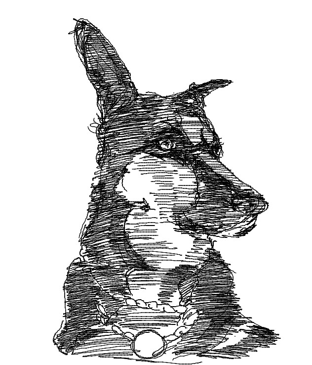 dog