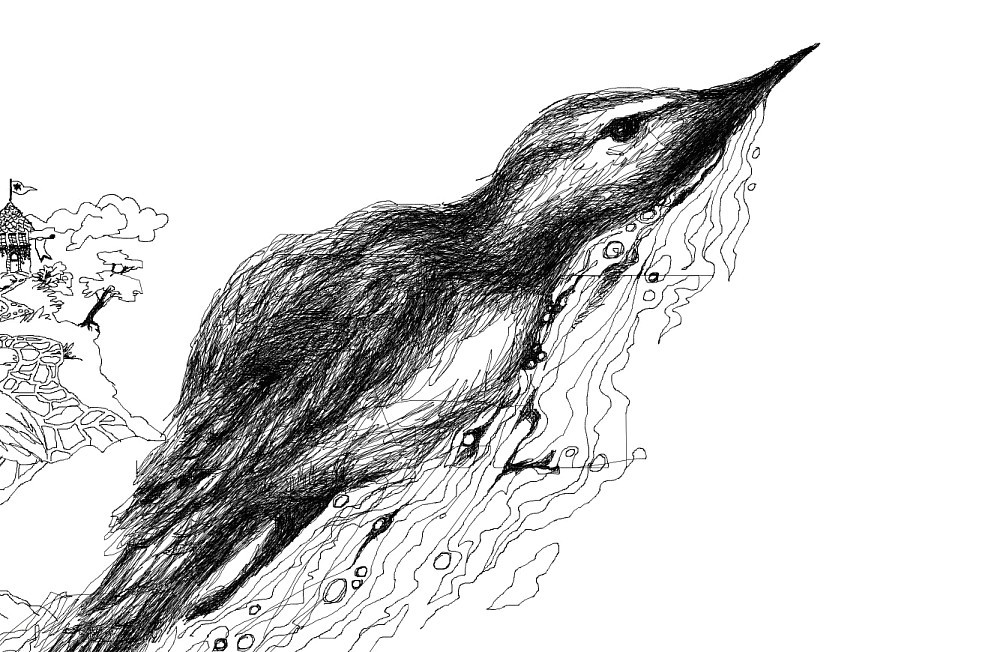 SWIMMER