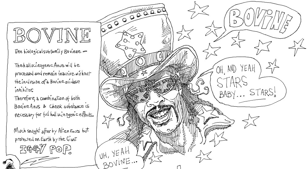 Bovine Baby... oh yeah and Stars