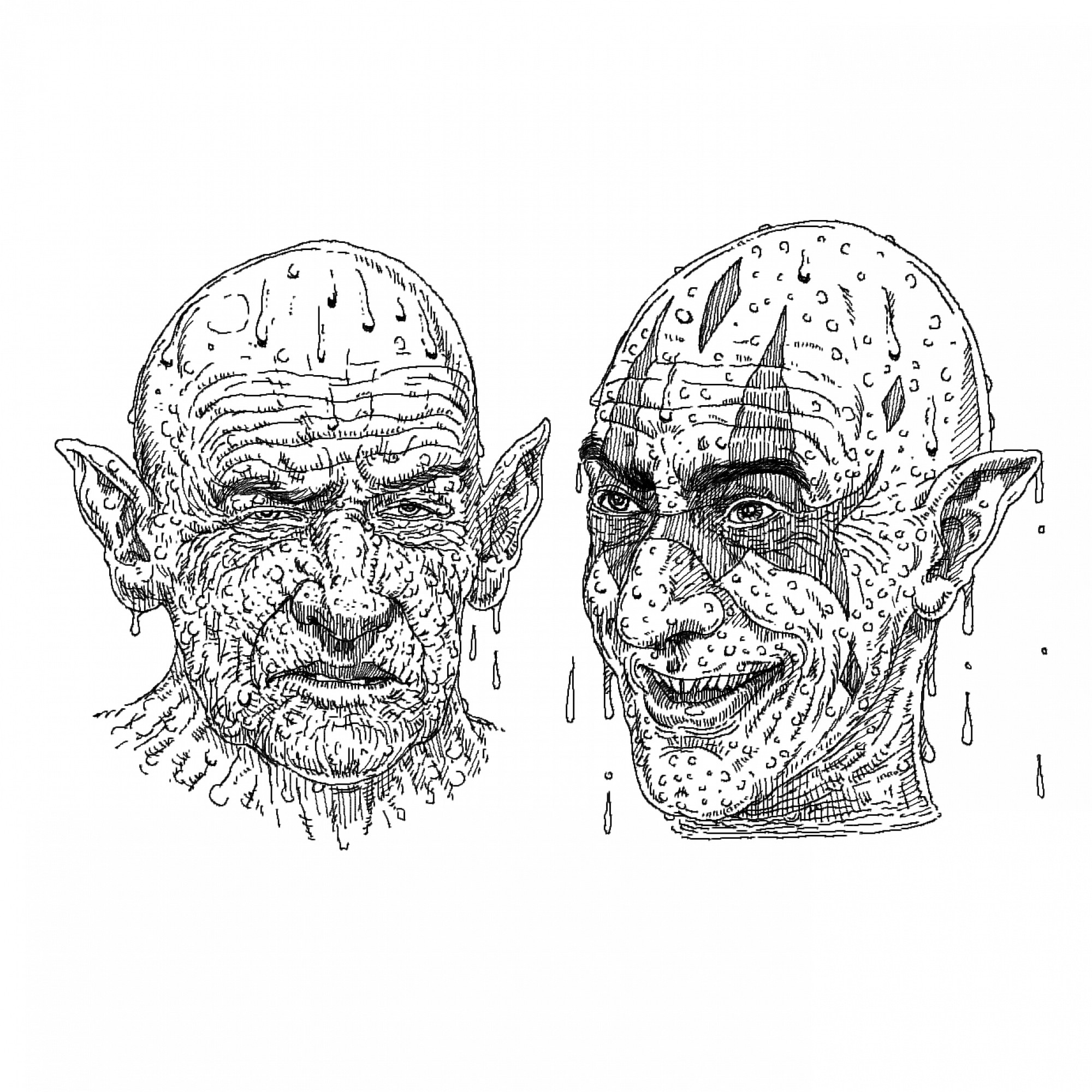 amazing heads