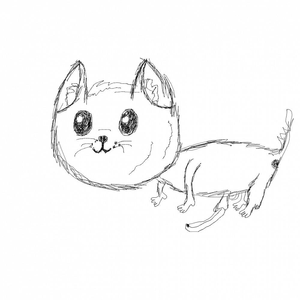 cutie cat