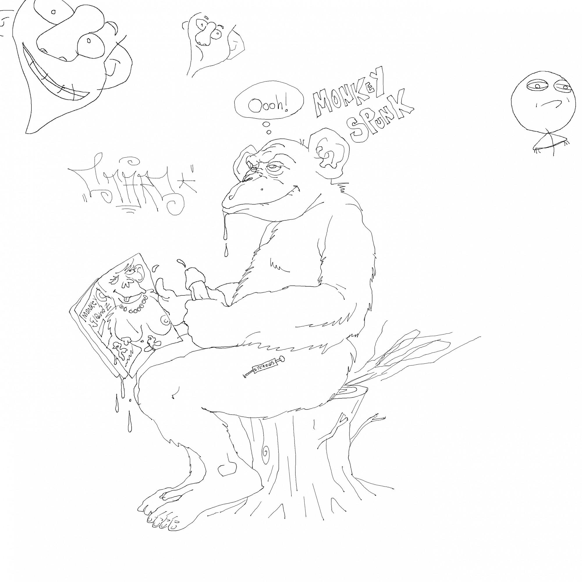 monkey