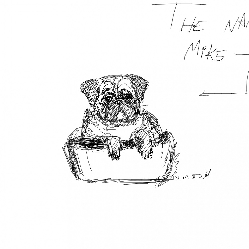 Pug on a Boat