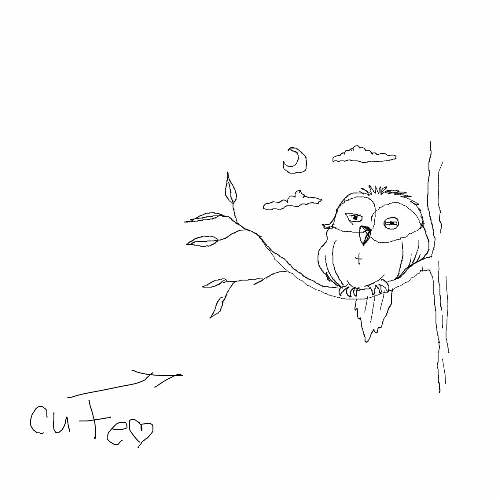 cute owly