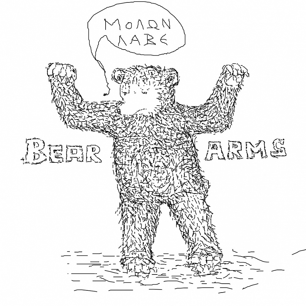 bear arms