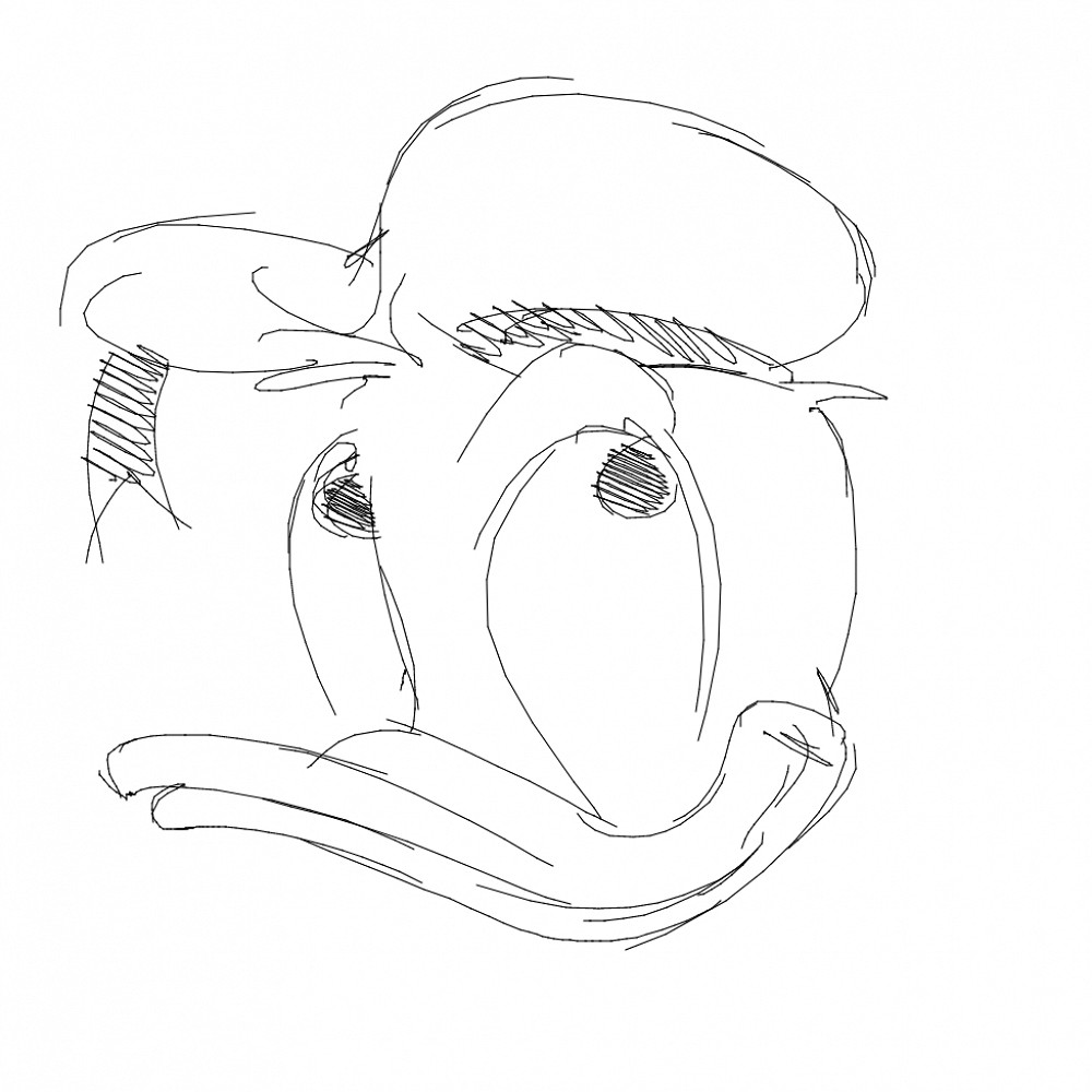 Donald Duck