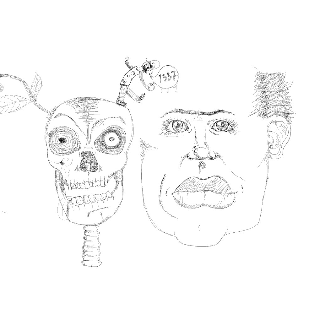 scull & face