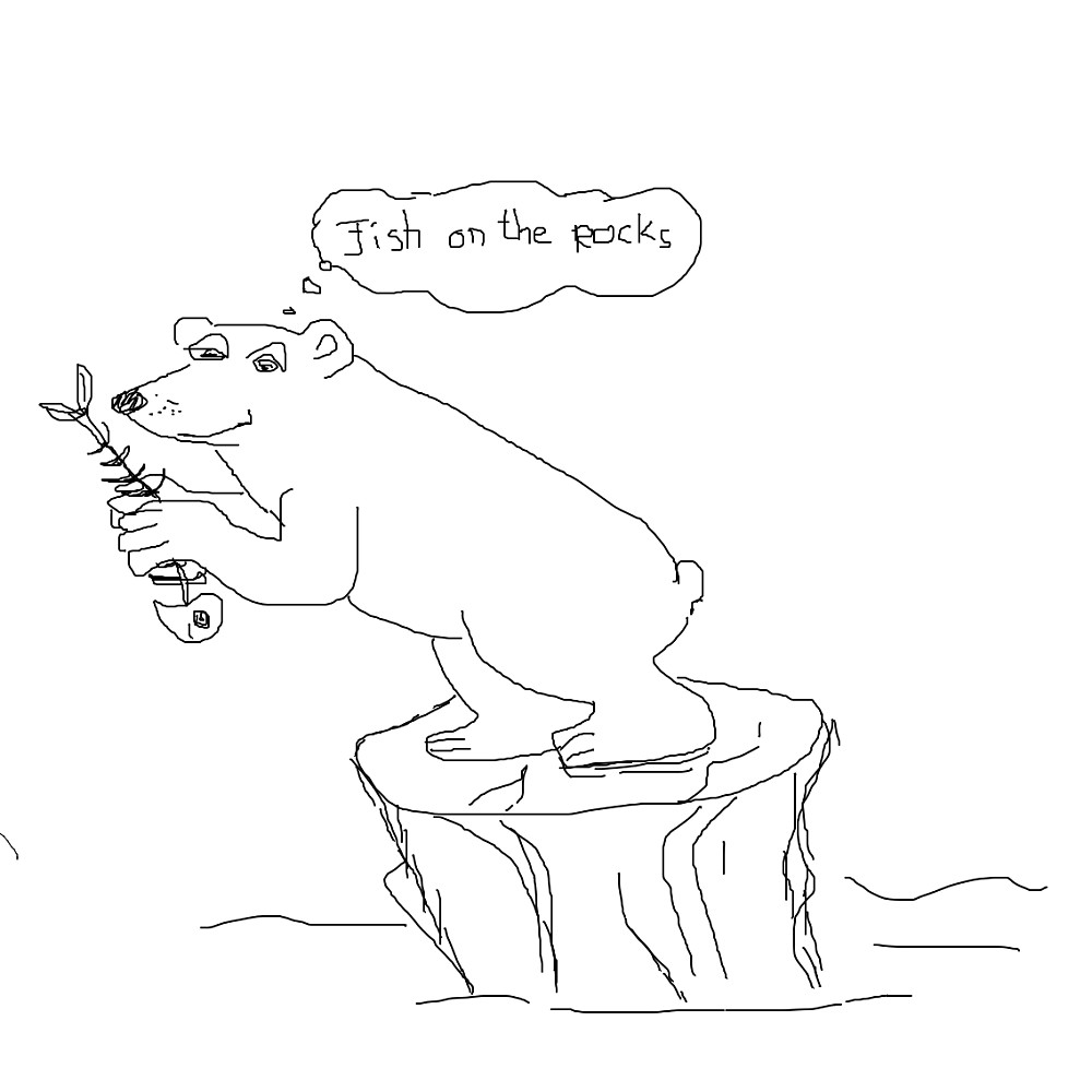 fish on the rocks