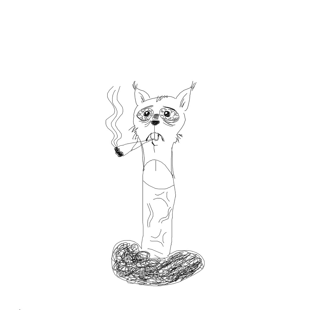 smoking cat