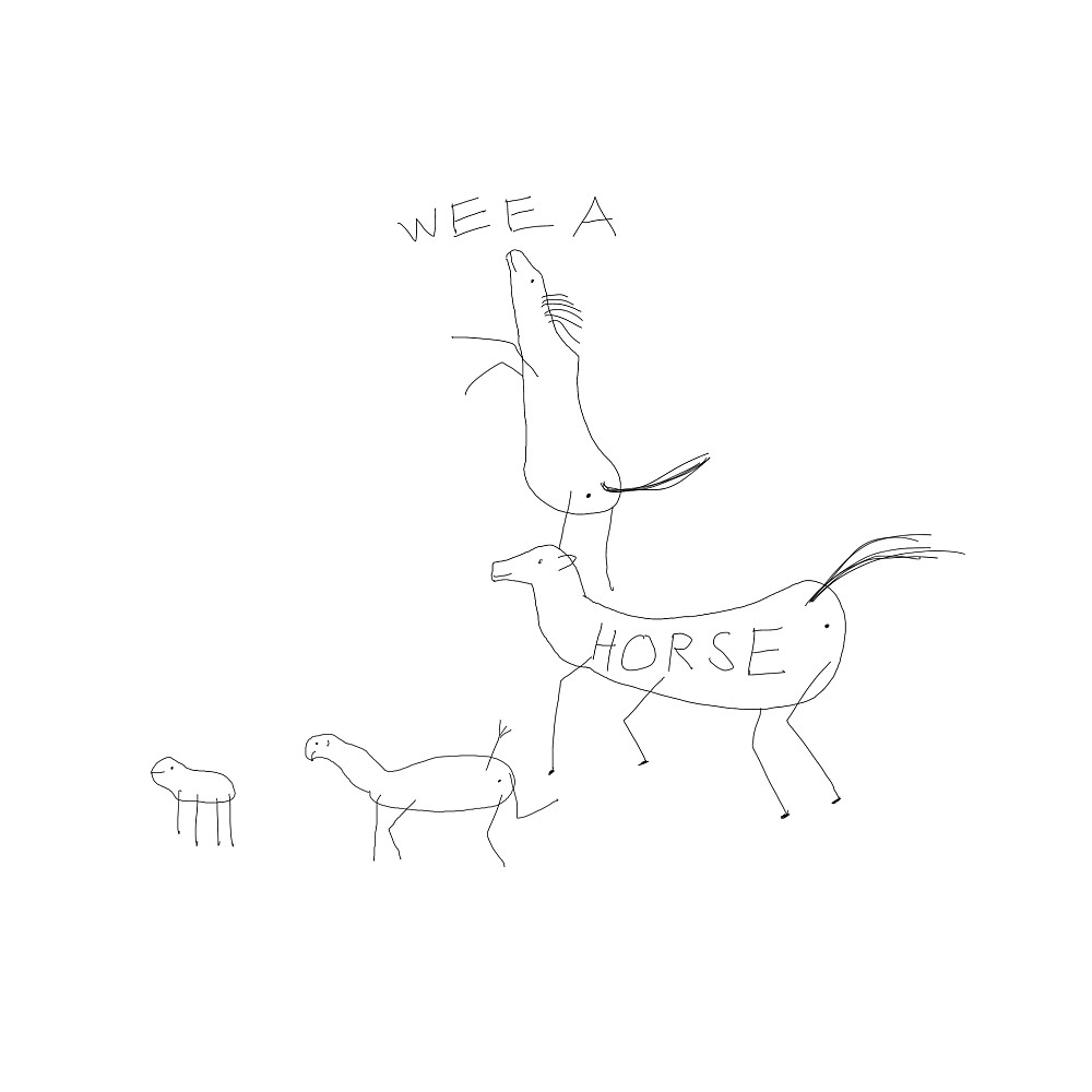 cute horses