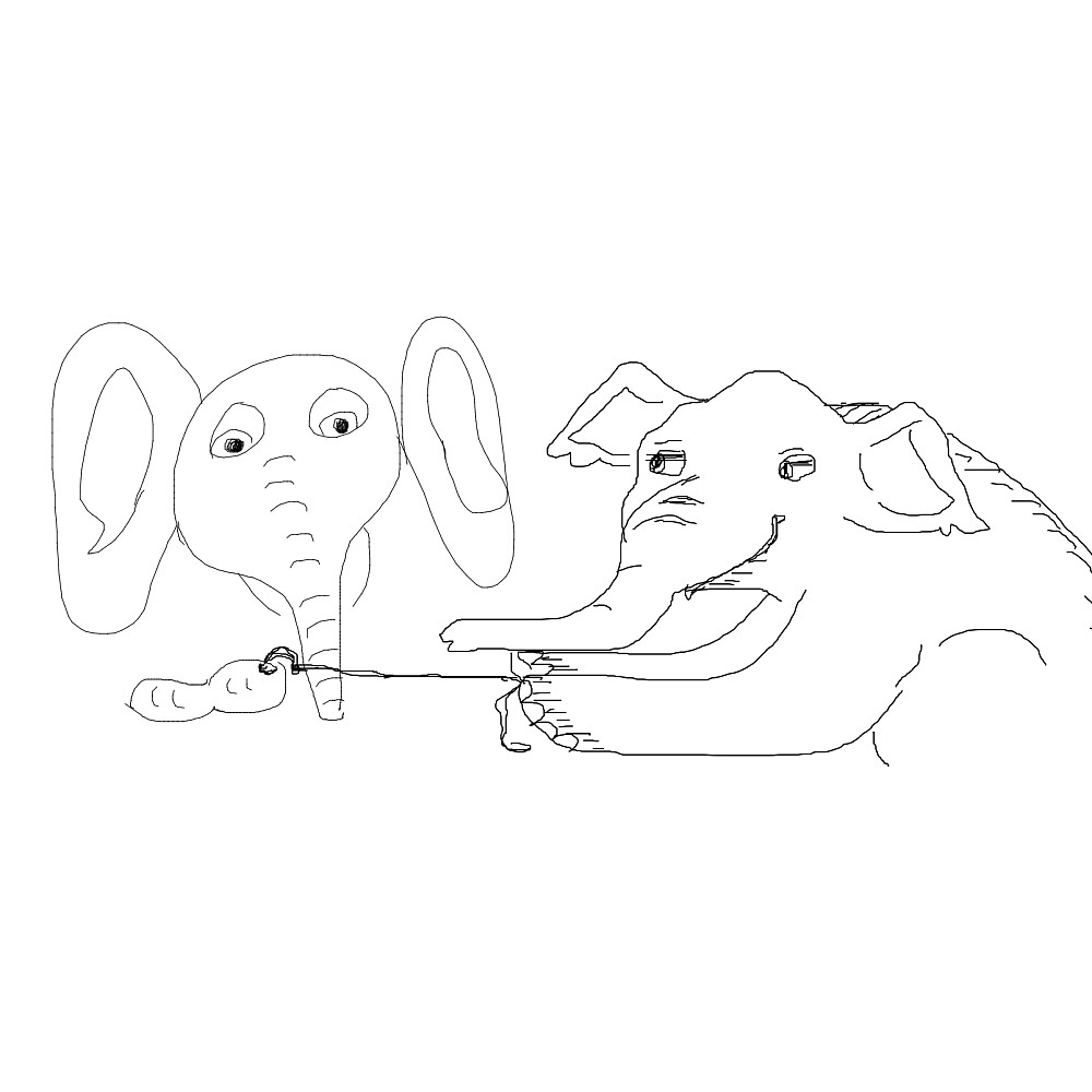 Elephants & peanut