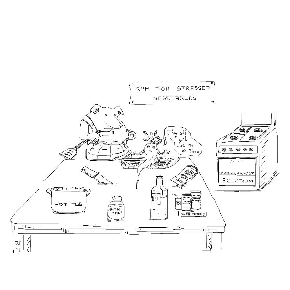 Piggi kitchen scene