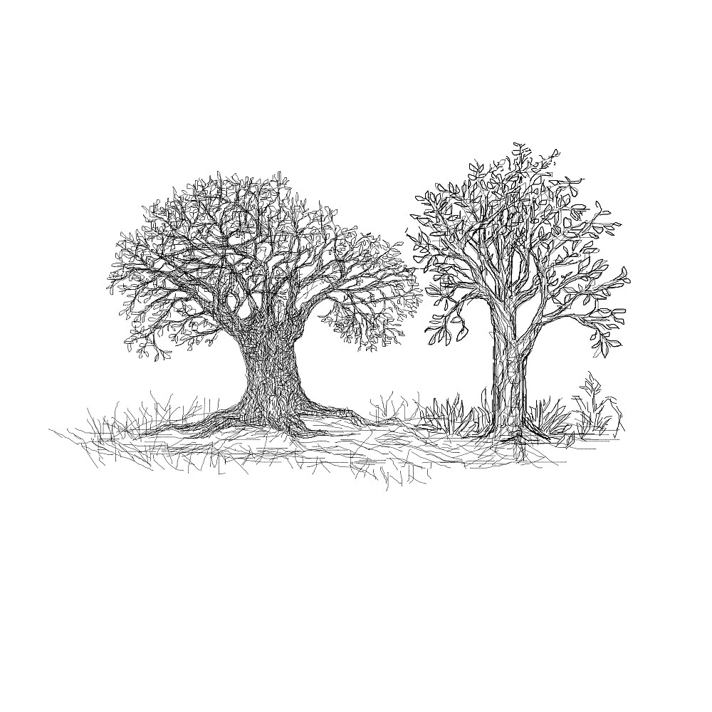 Trees