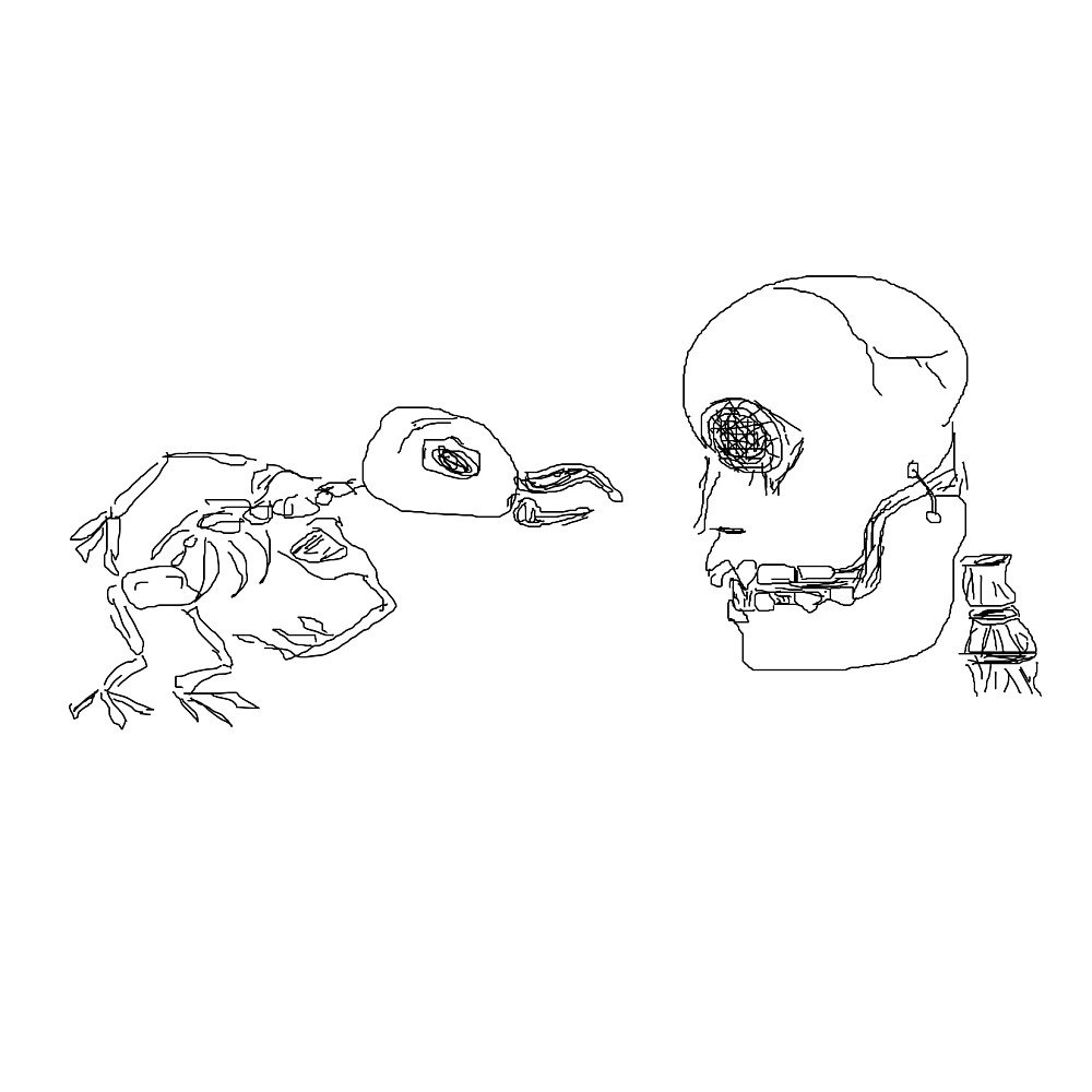 scull