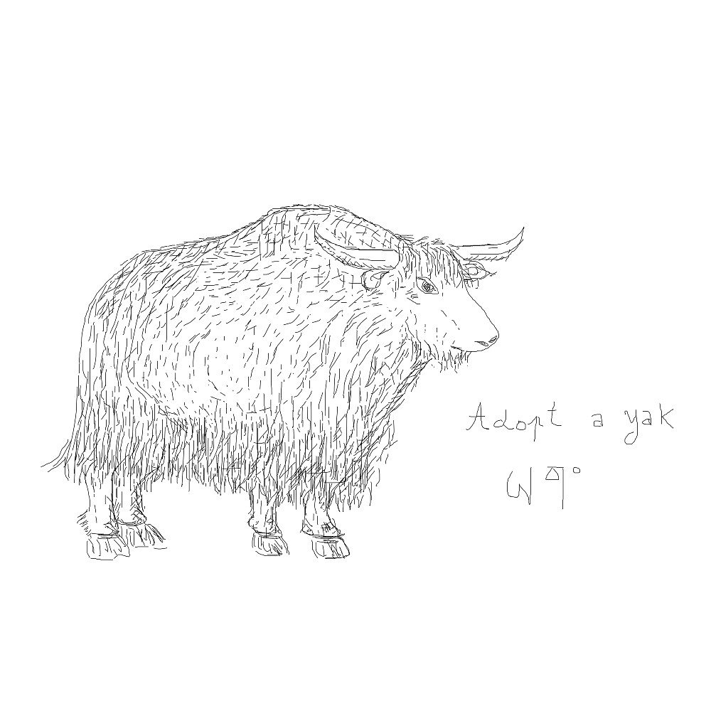 yak