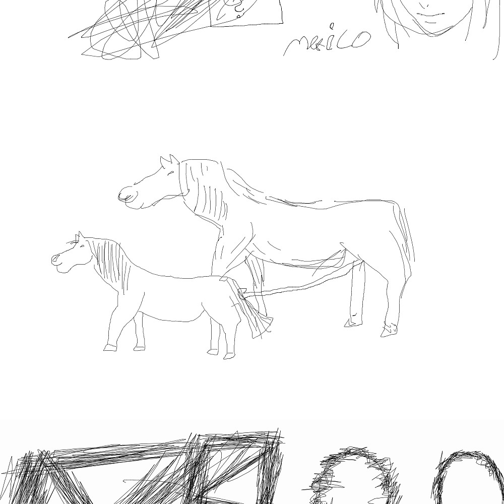 horses