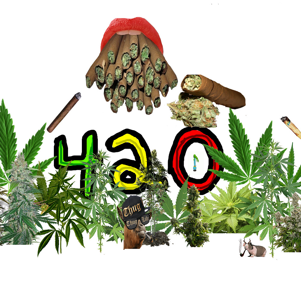 Four Twenty
